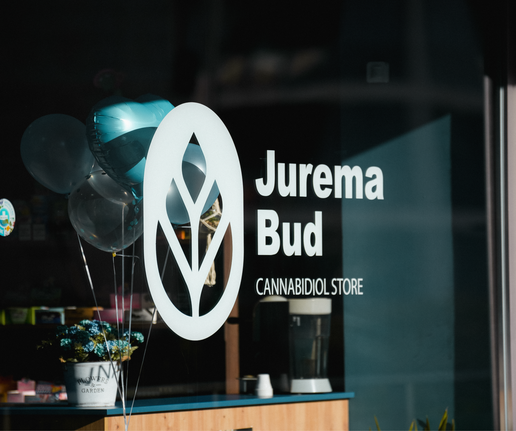 Website Revenda Img 02