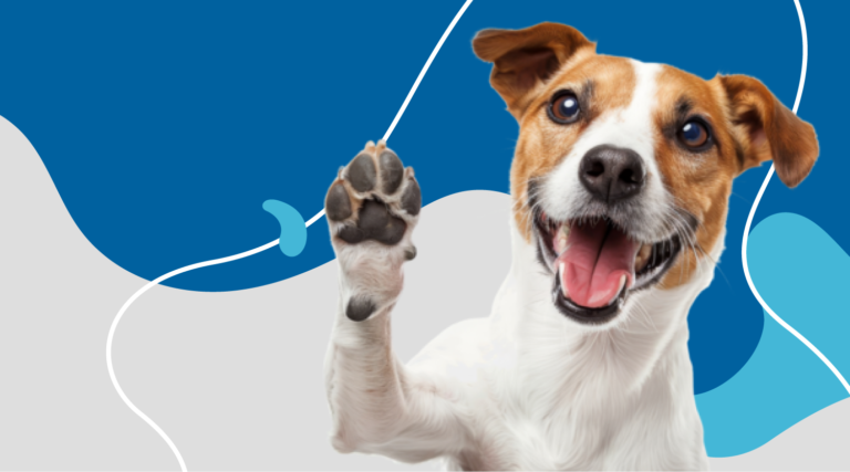 Uso da Linha SEC para o bem-estar animal