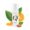 CREMCANN Q10 - Regenerador Natural
