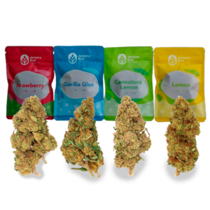 Pack 20g | Gorilla Glue, Cannatonic Lemon