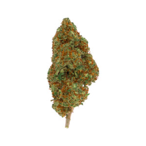 Mango Haze - Flor Premium de CBD