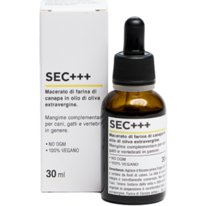 SEC +++ – Oncológico & Digestivo