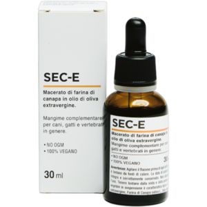 SEC E - Neurológico e Epilepsia