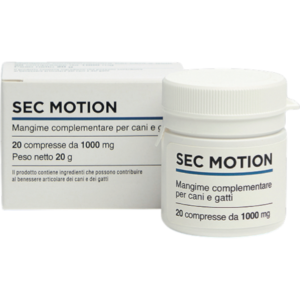 SEC Motion - Articulares e Mobilidade